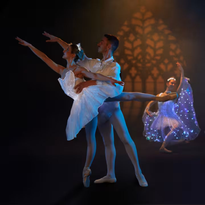 Ballet of Lights: Törnrosa – Stockholm